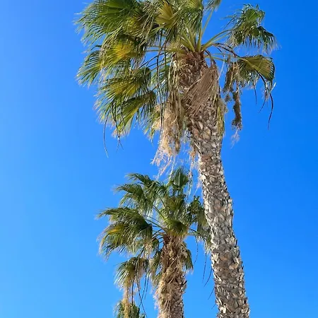 Sunny *